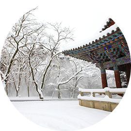 겨울