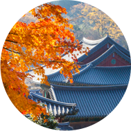 이미지명