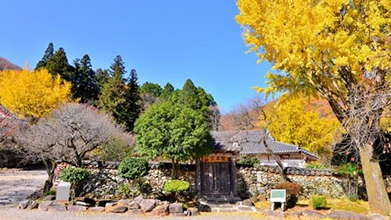 축령산