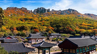축령산