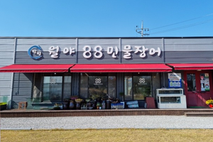월야88장어(Wolya 88 Eel)